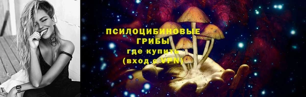 спиды Алексеевка