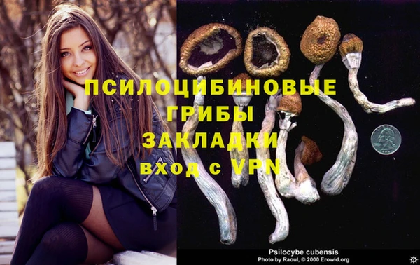 спиды Алексеевка