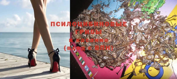 герыч Алексин
