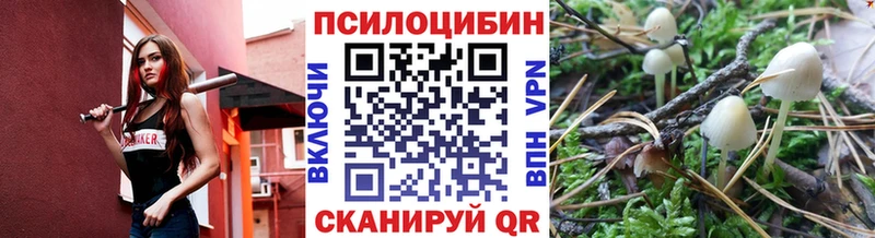 Галлюциногенные грибы мицелий  Избербаш 
